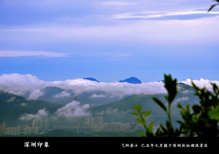 妙鸭相机app下载官网