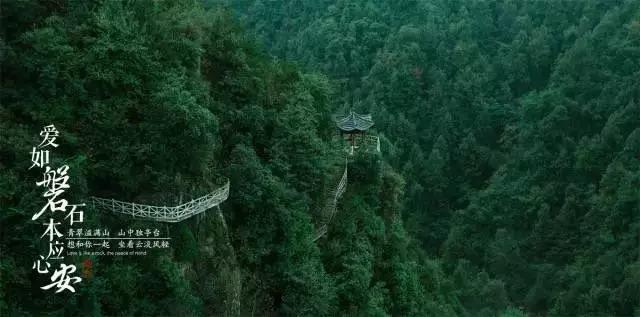 深入探索你会出于同情心去购买摊贩的东西吗?,尽享知识星球平台的魅力!