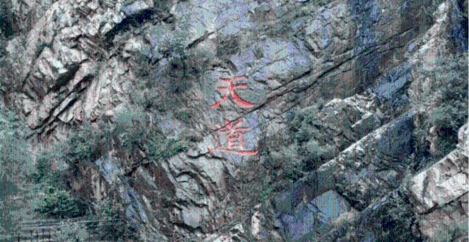 为什么印度人不仅不信佛教,而且还把佛教当成死敌?-专业问答网站,解答您的疑惑